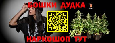 СК Краснознаменск