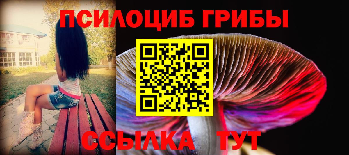 Галлюциногенные грибы GOLDEN TEACHER Гай