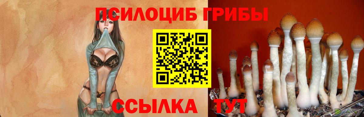 Псилоцибиновые грибы GOLDEN TEACHER  Псилоцибиновые грибы Psilocybe  Вход с VPN  Гай 