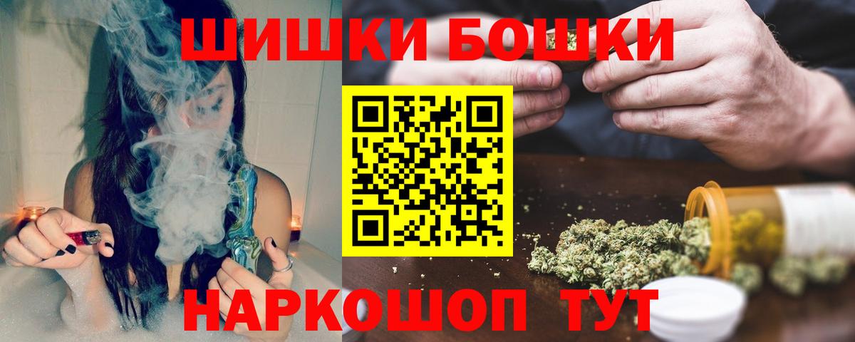 Канабис планчик Гай